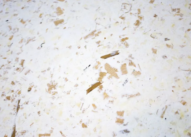 Expérimentation copeaux de bois